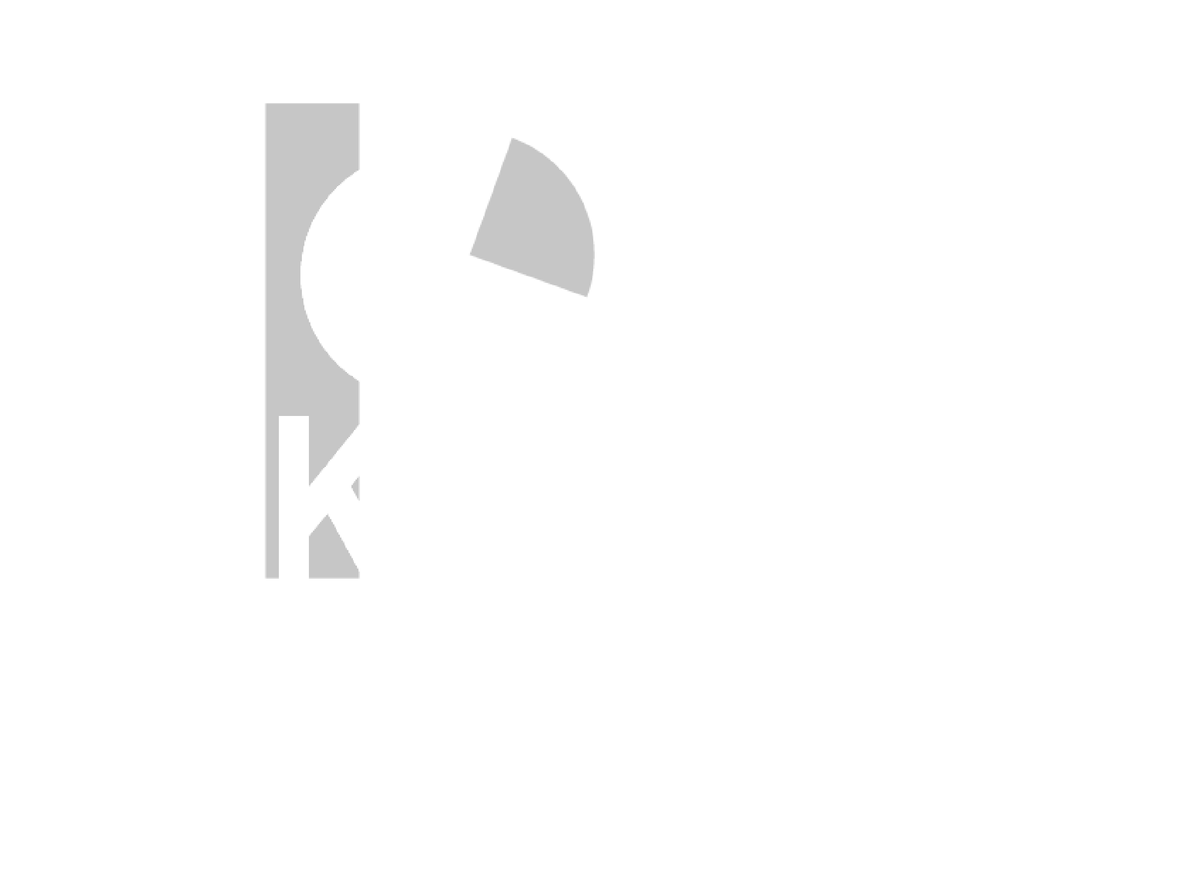 Kahl Sicherheit Consulting
