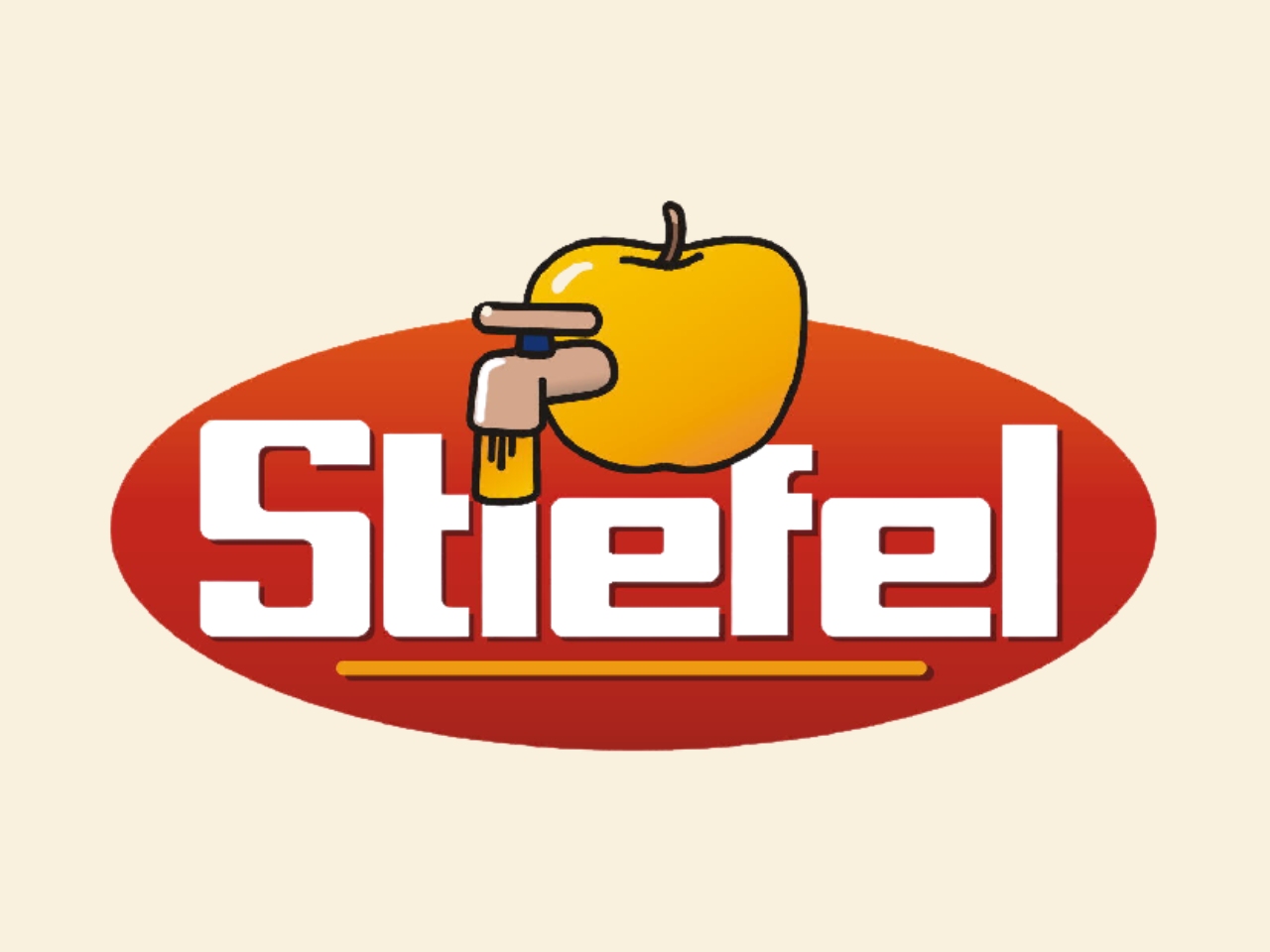Stiefel Logo vorher